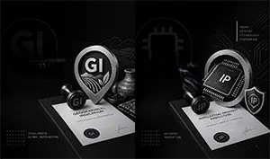 Geographical Indication / Semiconductor Design